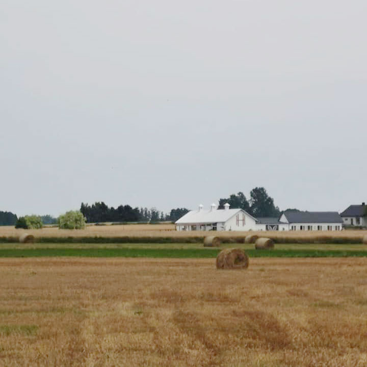 hacienda-drwaly-śluby-wesela-przyjecia1